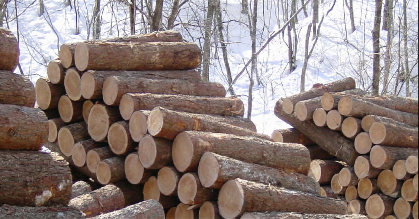 扎實用料與日式工法